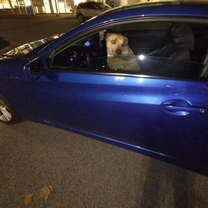 Meet your Posher, Éric